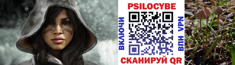 Псилоцибиновые грибы Psilocybine cubensis  Цимлянск 